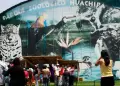 Congreso: Proponen la eliminacin progresiva de los zoolgicos pblicos a nivel nacional