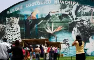 Congreso: Proponen la eliminacin progresiva de los zoolgicos pblicos a nivel nacional