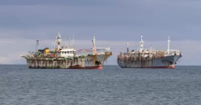 Barcos asiáticos en el mar peruano.