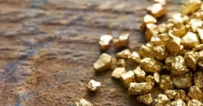 Plantean nueva regulación del oro en el Congreso.