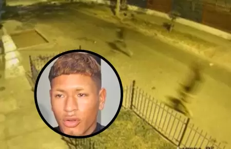 Madre e hija fueron asesinadas en SJL
