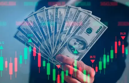 Precio del dólar ¿subió o bajó?