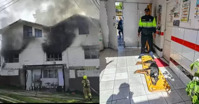La casa incendiada y uno de los perros afectados en Cusco.