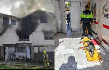 La casa incendiada y uno de los perros afectados en Cusco.