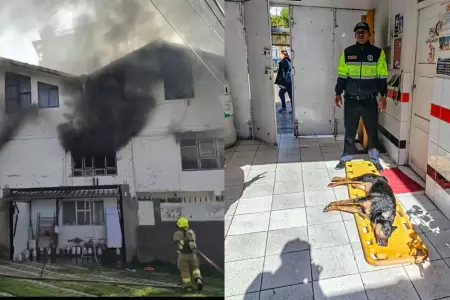 La casa incendiada y uno de los perros afectados en Cusco.