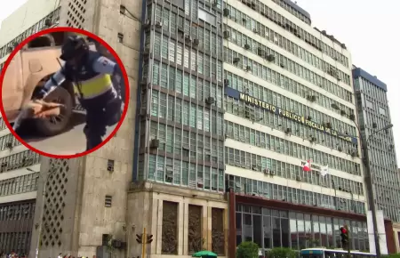 Fiscalía inició investigación preliminar por presunto maltrato animal contra oso