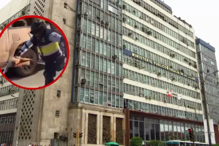 Fiscala inici investigacin preliminar por presunto maltrato animal contra oso