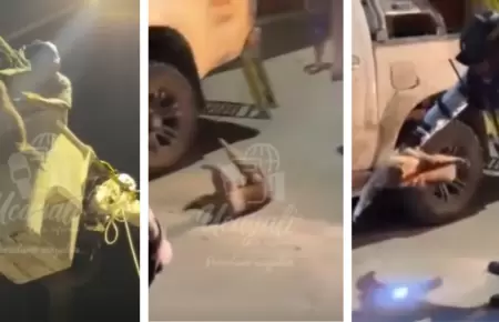 Denuncian maltrato contra oso perezoso durante rescate en Tocache: Fiscalía inve