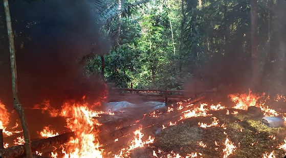 Laboratorios de hoja de coca fueron destruidos en operativo