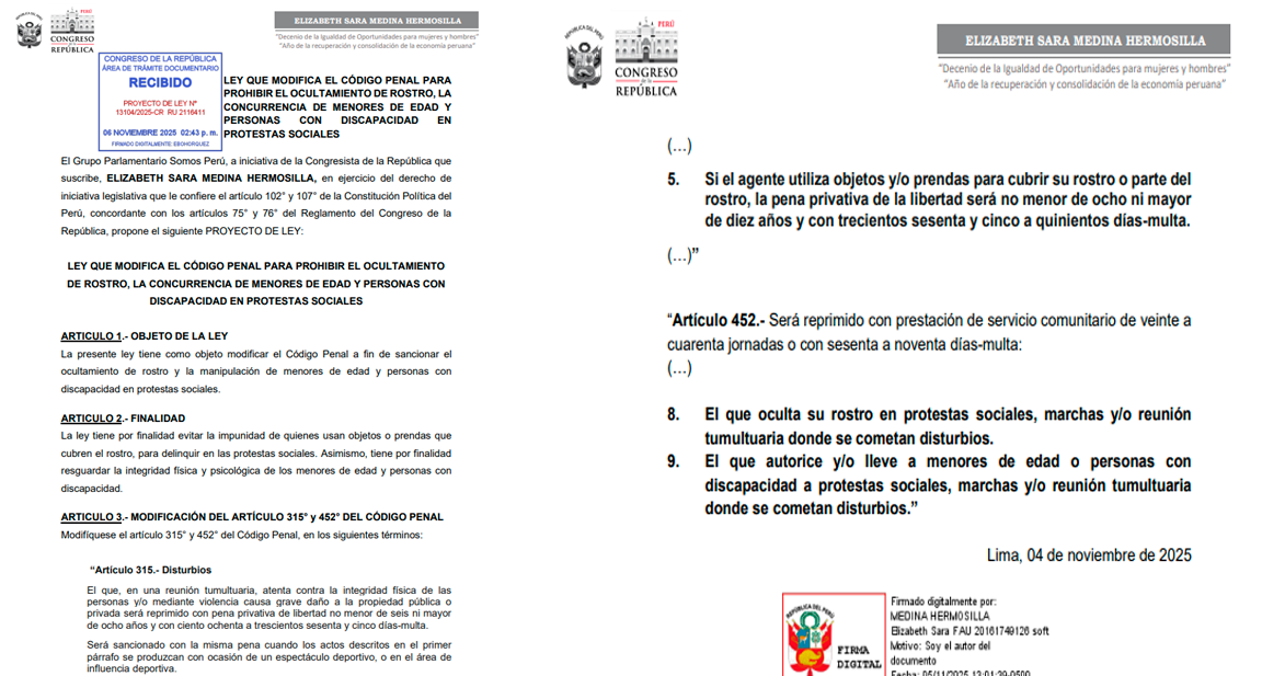 Cuestionan proyecto de Ley N.º 13104/2025-CR de la congresista Elizabeth Medina Hermosillo.