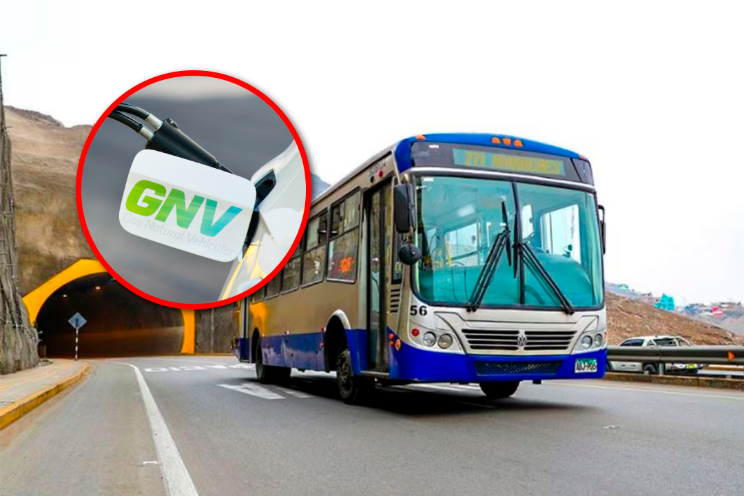 Unidades cuentan con GNV y mayor capacidad de pasajeros.