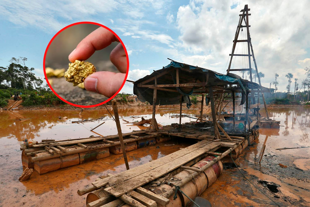 Segn el economista, ms de S/5 mil millones son los que circulan dentro de la minera ilegal por oro.