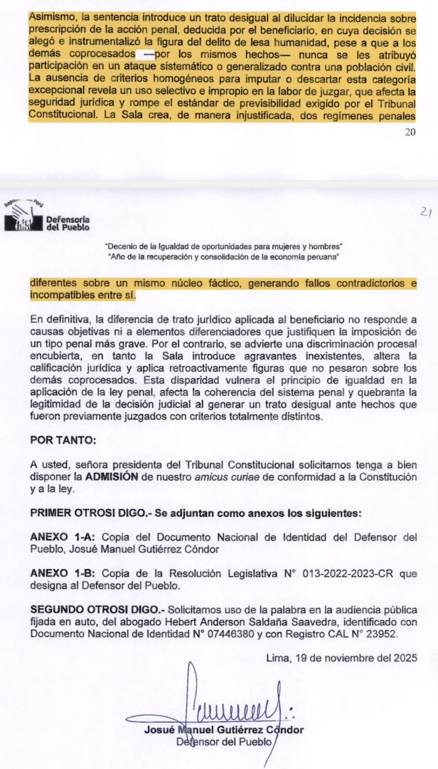 Amicus Curiae presentado por la Defensora del Pueblo al Tribunal Constitucional.