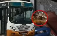 Atacan a balazos a bus de la empresa de transporte ETUL 4 SA de la ruta 'E' en Chorrillos