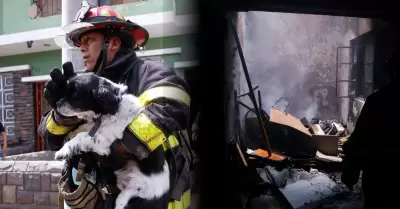 Rescatan a 'Oreo' y toda su familia de incendio