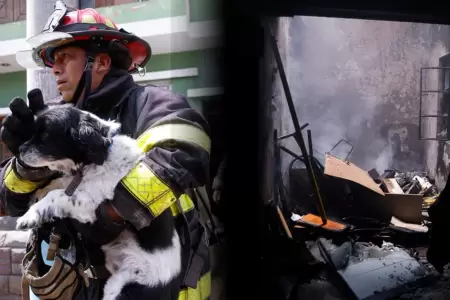 Rescatan a 'Oreo' y toda su familia de incendio