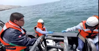 Fiscala Ambiental analiza persistencia de contaminacin por derrame de Repsol