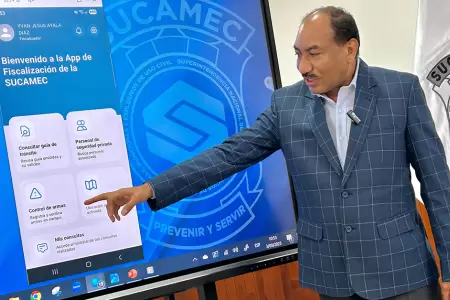 Aprueban el empadronamiento y amnista por tenencia de armas de fuego de uso civ