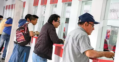 Proponen crear el REDIT.