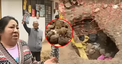 Vecinos denuncian presencia de roedores tras colapso de desage