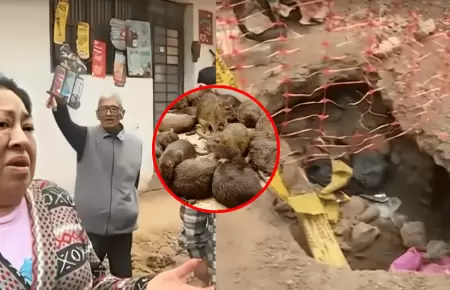 Vecinos denuncian presencia de roedores tras colapso de desage