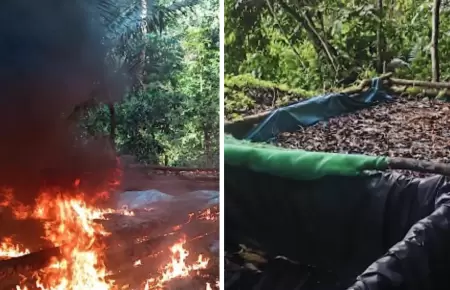 Destruyen laboratorios de maceracin de hoja de coca en Ucayali