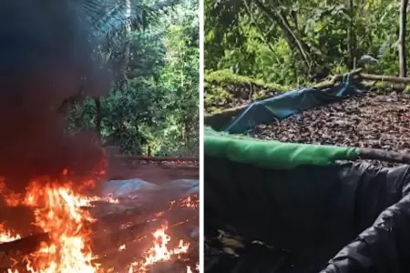 Destruyen laboratorios de maceraci�n de hoja de coca en Ucayali