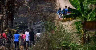 Destruccin ambiental en Per y el mundo