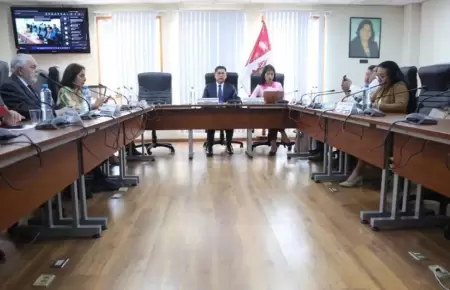 Comisin de Energa y Minas