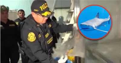 Callao: PNP incauta ms de 6 toneladas de aleta de tiburn.