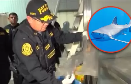 Callao: PNP incauta ms de 6 toneladas de aleta de tiburn.