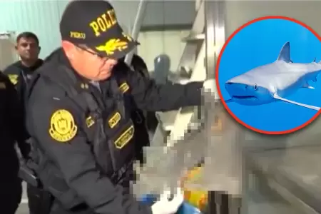 Callao: PNP incauta ms de 6 toneladas de aleta de tiburn.