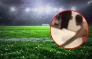 Famoso futbolista de selección fue DESCUBIERTO en plena infidelidad: Su novia lo expuso con VIDEO viral