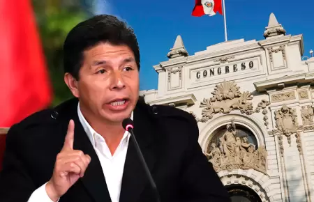 SAC rechaza pedido de Pedro Castillo