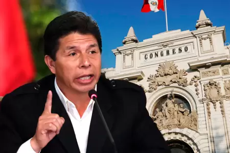 SAC rechaza pedido de Pedro Castillo