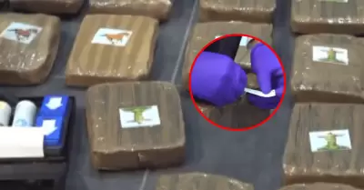 Incautan cerca de una tonelada de marihuana en camin