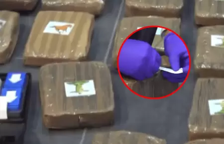 Incautan cerca de una tonelada de marihuana en camin