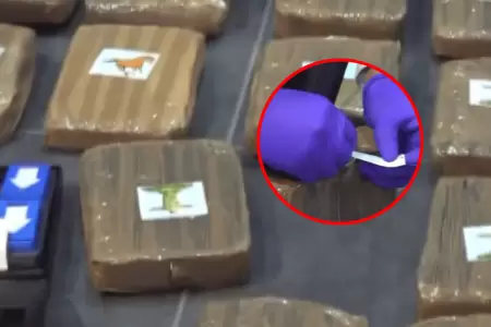 Incautan cerca de una tonelada de marihuana en camin