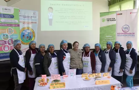 Capacitacin para prevenir la anemia infantil.