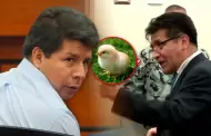 Abogado de Pedro Castillo durante juicio por golpe de Estado: "Ustedes tienen el pollo en sus manos"