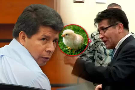 Defensa de Castillo rememoro parbola viral narrada por expresidente.