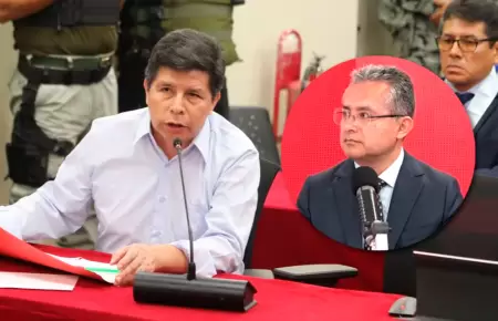 Abogado penalista afirma que Castillo s habra cometido rebelin.