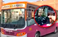 Terror en SMP: Criminales atacan a balazos bus de la empresa San Germán a plena luz del día