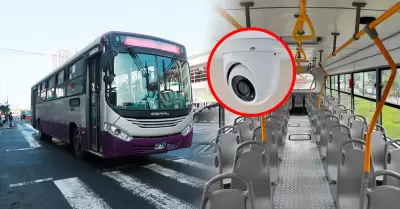 ATU renueva su flota de corredores del Metropolitano con integracin de cmaras