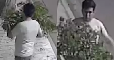 Hombre 'pelea' con un rbol