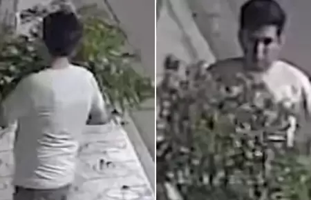 Hombre 'pelea' con un rbol