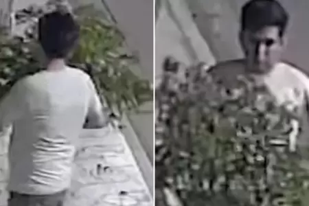 Hombre 'pelea' con un rbol