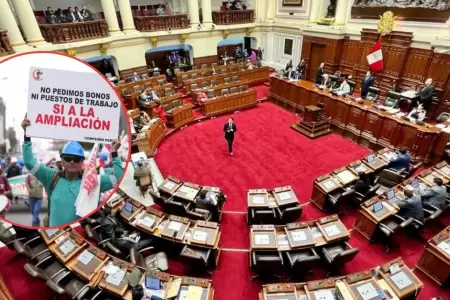 Congreso debatir la ampliacin del Reinfo este jueves 20 de noviembre.