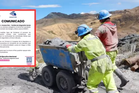 Avanza Pas rechaza ampliacin del REINFO