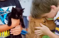 Las mascotas no son juguetes: Cmo hacer que tu nio aprenda a respetar a los animalitos del hogar?